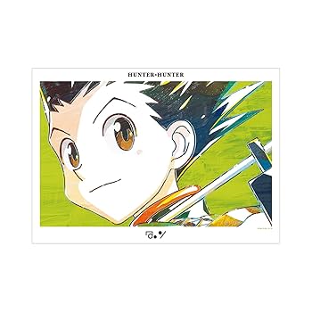 Amazon.co.jp: HUNTER x HUNTER ゴン Ani Art A3マット加工
